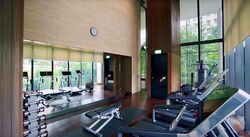 Hana (D10), Condominium #483373051